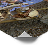 De succesvolle jacht. poster (Hoek)