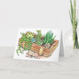 De succulente Doos van de Planter Kaart