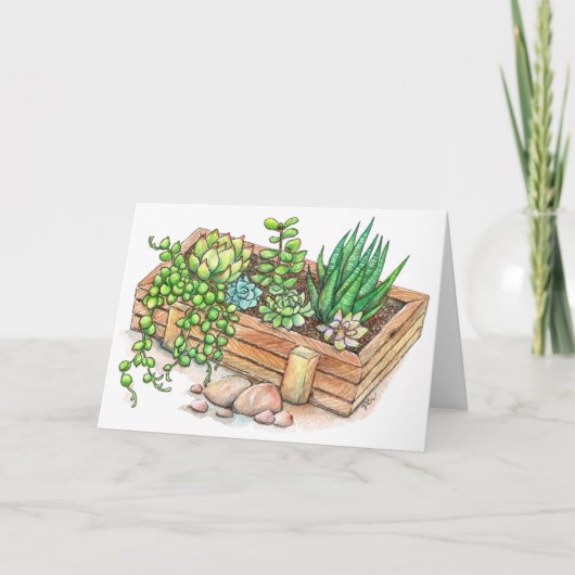 De succulente Doos van de Planter Kaart (Voorkant)
