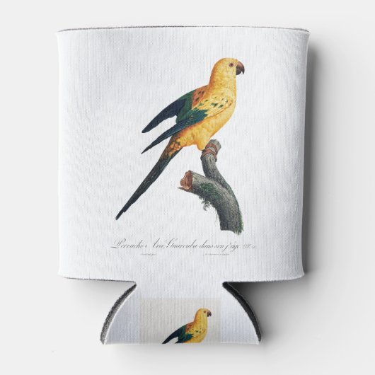 De Sun Paraket, Aratinga solstitialis Blikjeskoeler (Voorkant)