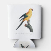 De Sun Paraket, Aratinga solstitialis Blikjeskoeler (Achterkant)