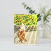 De Sun Tarot Card Art Briefkaart (Staand voorkant)