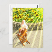 De Sun Tarot Card Art Briefkaart (Voorkant / Achterkant)