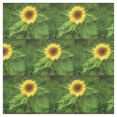 DE SUNFLOWER-fabric Stof (Swatch)