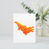 DE SUNNY GATOR BRIEFKAART (Staand voorkant)