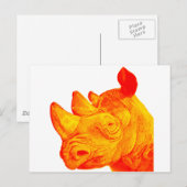 DE SUNNY RHINO BRIEFKAART (Voorkant / Achterkant)