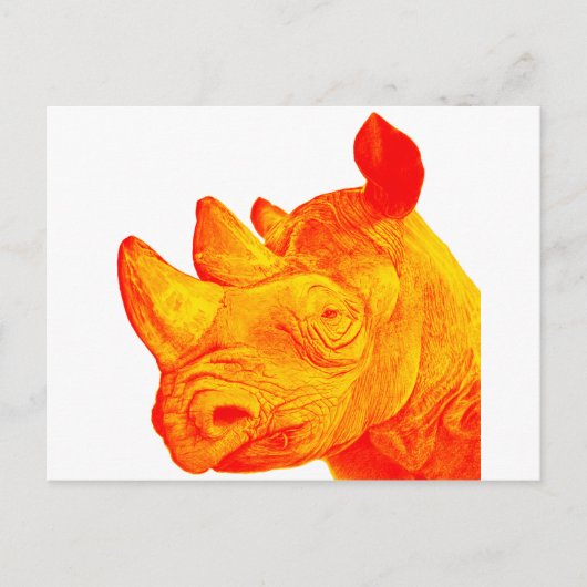 DE SUNNY RHINO BRIEFKAART (Voorkant)