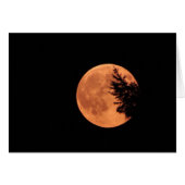 De Super Moon. (Voorkant Horizontaal)