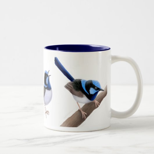 De superb Fairy Wren-Mok Tweekleurige Koffiemok (Rechts)