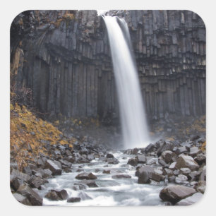 De Svartifoss waterval in IJsland sticker