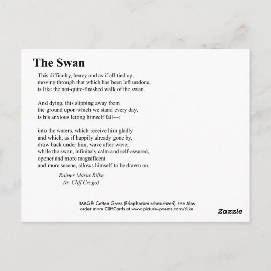 DE SWAN BRIEFKAART (Achterkant)