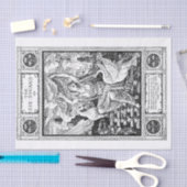 De Swan Princes Tissuepapier (Craft)