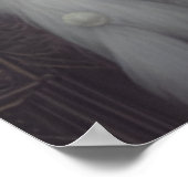 De Swan Princess Poster (Hoek)