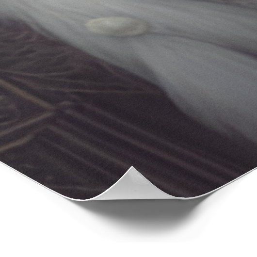 De Swan Princess Poster (Hoek)