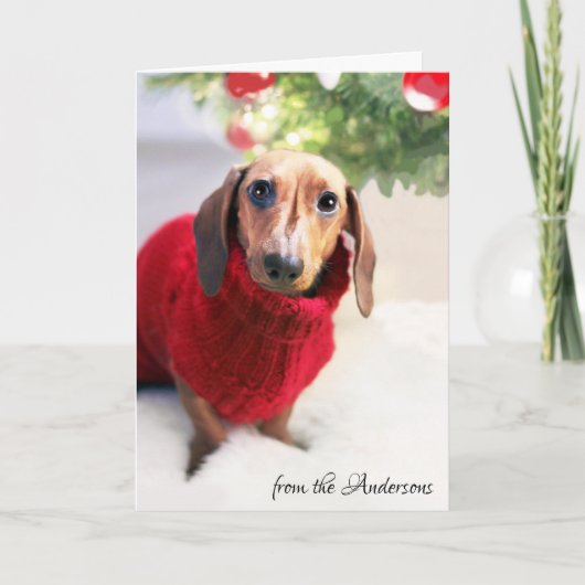 De Sweater van de Hond van de Kerstboom van de Feestdagen Kaart (Voorkant)