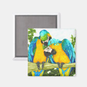 De Sweet Spot - Blauwe & Gouden Macaws Magneet (Voorkant / Achterkant)