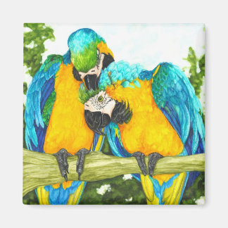De Sweet Spot - Blauwe & Gouden Macaws Magneet