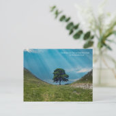 De Sycamore Tree Briefkaart (Staand voorkant)
