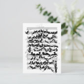 De symfonie van de kat-vector briefkaart (Staand voorkant)