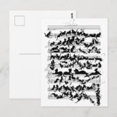 De symfonie van de kat-vector briefkaart (Voorkant / Achterkant)