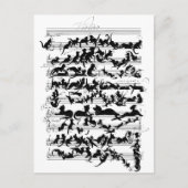 De symfonie van de kat-vector briefkaart (Voorkant)