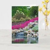 De Sympathie van de Bezinning van de waterval Kaart (Gele Bloem)