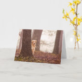 De Sympathie van het huisdier Kaart (Gele Bloem)