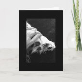 De sympathie van het huisdier kaart (Voorkant)