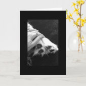 De sympathie van het huisdier kaart (Gele Bloem)