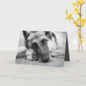 De Sympathie van het Verlies van het Huisdier van Kaart (Gele Bloem)