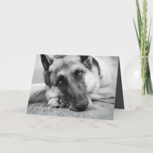 De Sympathie van het Verlies van het Huisdier van Kaart (Voorkant)