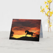 De sympathiekaart van het paard kaart (Gele Bloem)