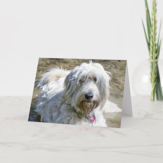 De sympathieke hondenhulp verlicht de pijn over kaart (Voorkant)