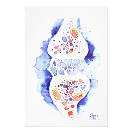 De synapse en de zenuwimpulscanvas foto afdruk