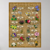 De taal van de bloemen poster (Voorkant)