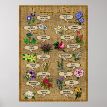 De taal van de bloemen