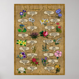 De taal van de bloemen poster