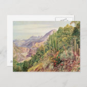 De taalstromen in Cordellera, Chili Briefkaart (Voorkant / Achterkant)