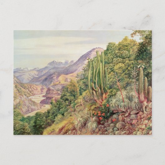 De taalstromen in Cordellera, Chili Briefkaart (Voorkant)