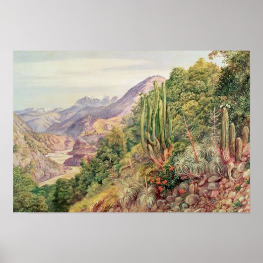 De taalstromen in Cordellera, Chili Poster (Voorkant)