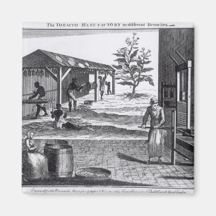 De tabaksfabriek in verschillende takken magneet