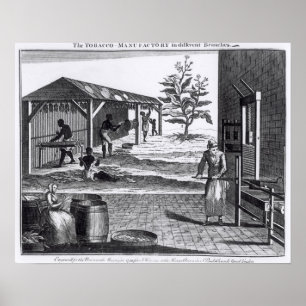 De tabaksfabriek in verschillende takken poster