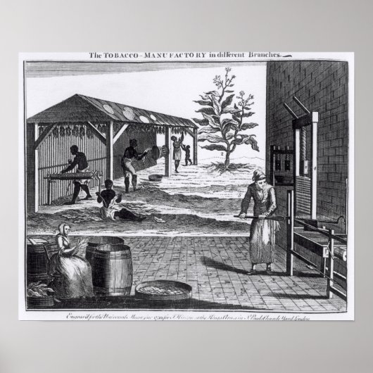 De tabaksfabriek in verschillende takken poster (Voorkant)