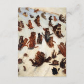 De Tabby Toboggan Club van Louis William Wain Informatiekaartje (Voorkant)