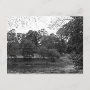 De Taff in Bute Park, Cardiff - BW Briefkaart
