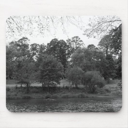 De Taff in Bute Park, Cardiff - BW Muismat (Voorkant)
