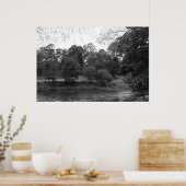 De Taff in Bute Park, Cardiff - BW Poster (Keuken)