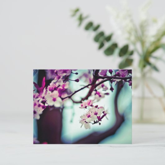 De Tak van de Bloesem van de kers Briefkaart (Staand voorkant)