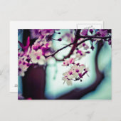 De Tak van de Bloesem van de kers Briefkaart (Voorkant / Achterkant)