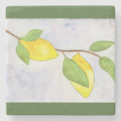 De Tak van de boom met Lemons en Bladeren in Water Stenen Onderzetter (Voorkant)